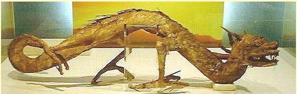 中國黃龍洞發(fā)現(xiàn)真龍