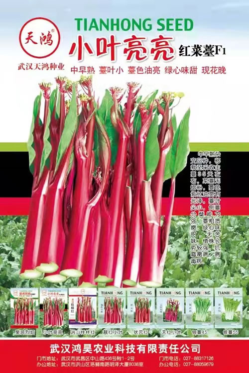 智淇網(wǎng)絡(luò)客戶(hù)評(píng)價(jià)